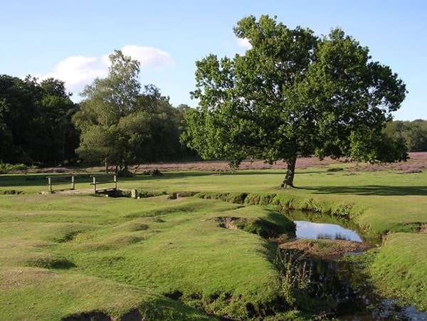 Response Services for the New Forest Villages Housing Association